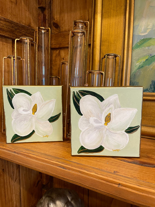 Sweet Magnolias 6x6 Canvas