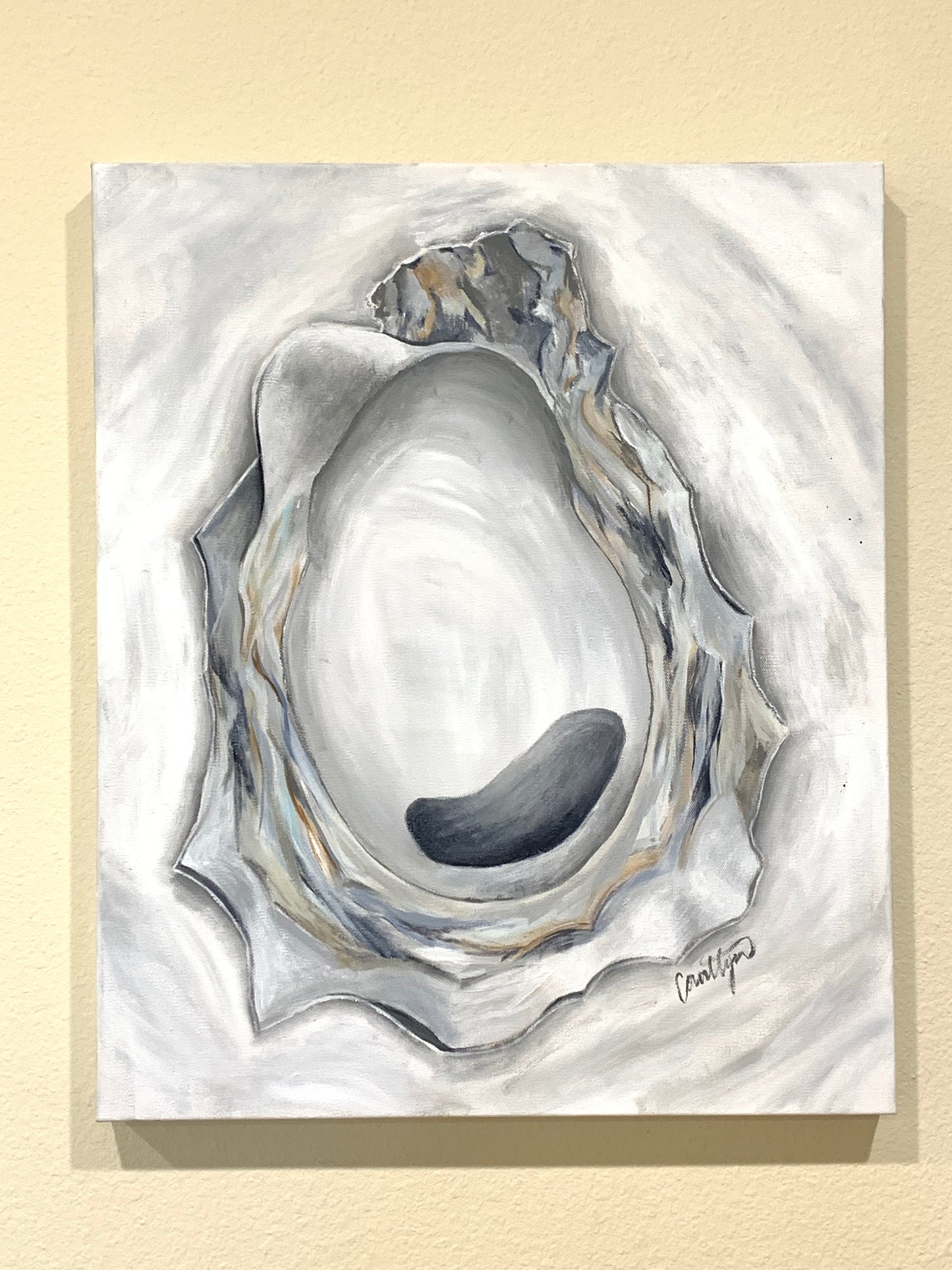Gray Oyster